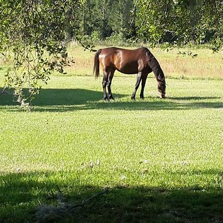 Kokomo Farms Live Oak Eksteriør billede